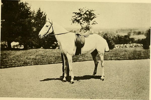 Как начать бегать: гайд для тех, кто задыхается на первом километре